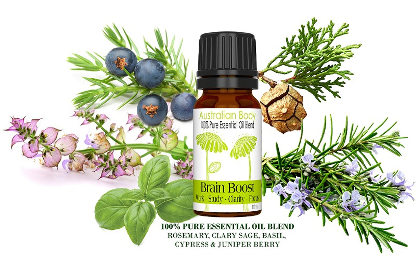 Australian Body - Brain Boost Essential Oil 10ml