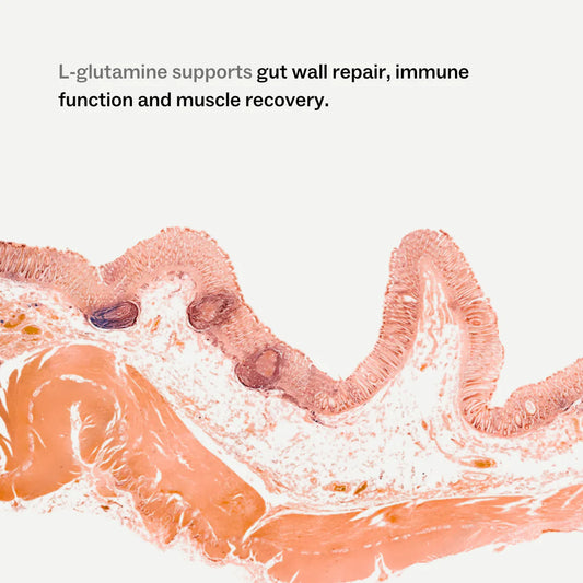 My Way Up - Clean Glutamine - Glenelg Health & Wholefoods