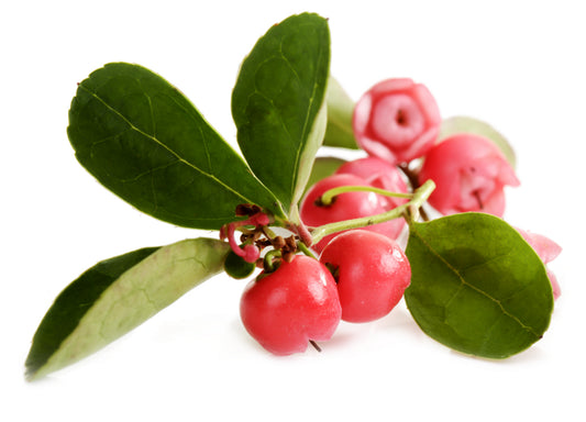 Australian Body - Wintergreen Essential Oil 10ml