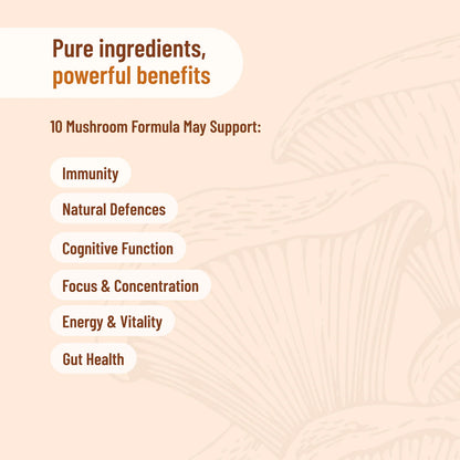 Evolution Botanicals - 10 Mushroom Formula
