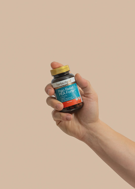 Herbs of Gold - Pain Relief PEA Forte