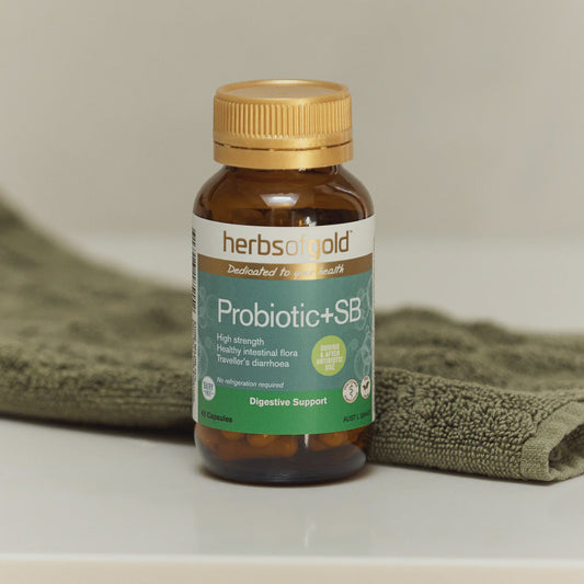 Herbs of Gold - Probiotic + SB