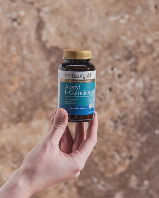 Herbs of Gold - Acetyl L-Carnitine