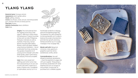 Little Book of Essential Oils - Marta Tarello