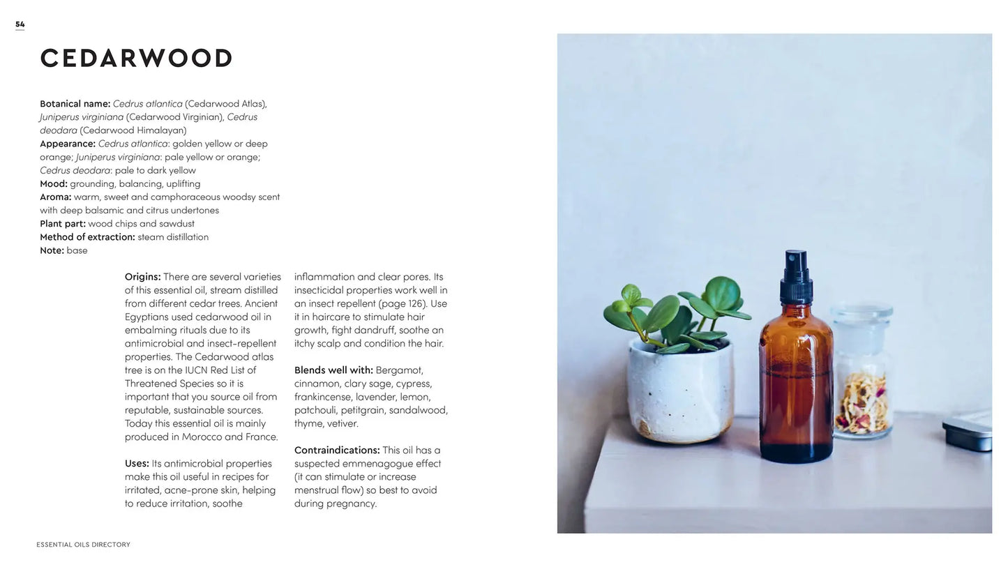 Little Book of Essential Oils - Marta Tarello