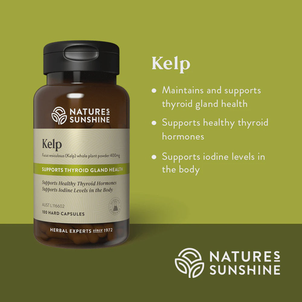 Nature's Sunshine - Kelp (Bladderwrack) Powder 100 Capsules