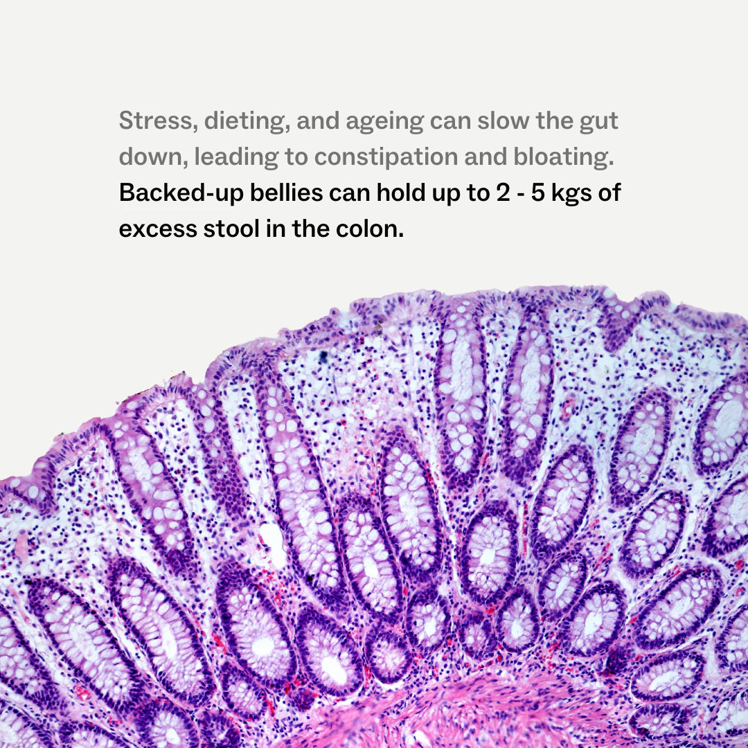 My Way Up - Debloat Detox - Glenelg Health & Wholefoods