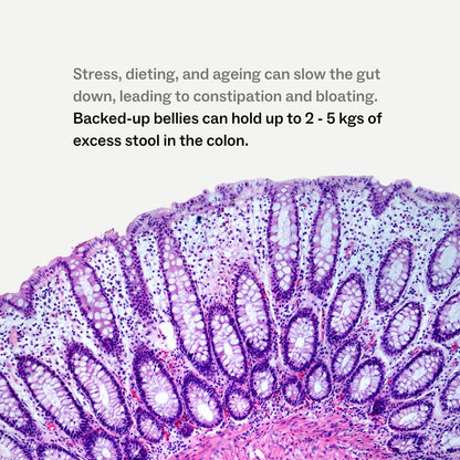 My Way Up - Debloat Detox - Glenelg Health & Wholefoods