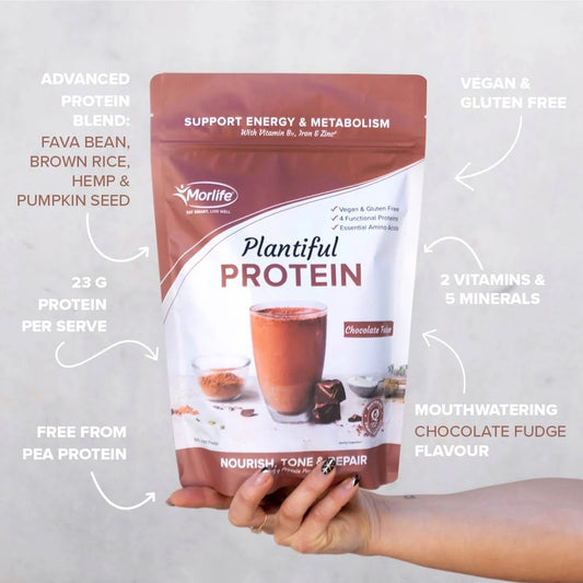 Morlife - Plantiful Protein Chocolate Fudge 440g