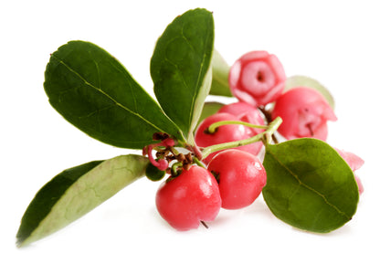 Australian Body - Wintergreen Essential Oil 10ml